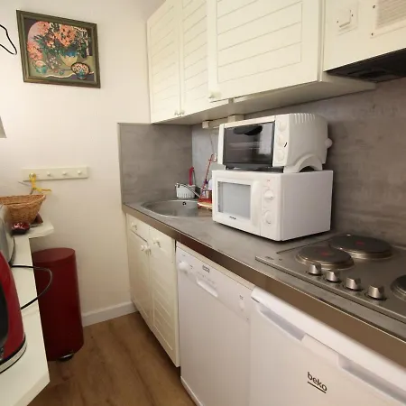 Apartment T3 Climatise Avec Garage Et Terrasse A - Fr-1-309-265