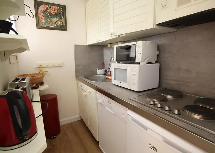 Apartment Appartement T3 Avec Garage Et Terrasse A Collioure - Fr-1-309-265